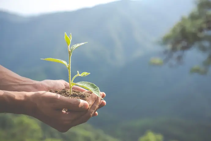 Zoom sur deux mains qui tiennent de la terre sur lequel il y a une plante