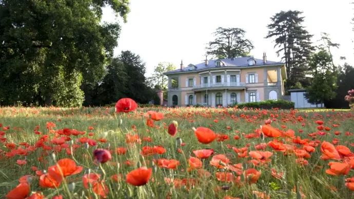 Photo de la Fondation de l’Hermitage basée à Lausanne